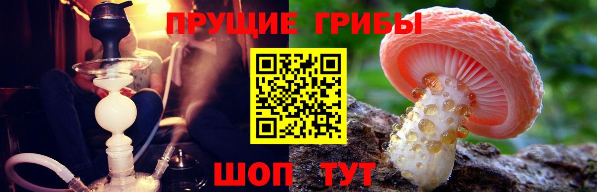 Псилоцибиновые грибы мухоморы Тверь