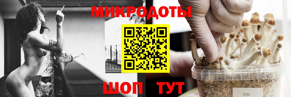 где найти наркотики  Галлюциногенные грибы GOLDEN TEACHER  Тверь  Вход с VPN  Галлюциногенные грибы Magic Shrooms 